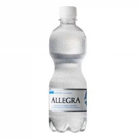 Allegra Stilles Mineralwasser PET 5dl
