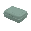 15244_15244805-00000_web