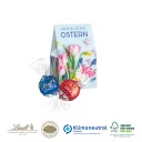 91442_Lindt_Lindor_Pralines_2er_Praesentverpackung_Selection_Mini_2_O_web
