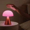 Mina-L-Audio-LH76O1-Orange-05_web_new