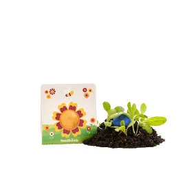 Blumenmurmel 1er