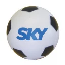 s0088-01-football-v1