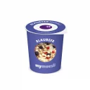 blaubeer-mm2go-high_web