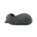 mo2479-15-picture1_web