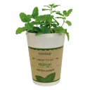Ecocup_cup01_Feel-Green_web_1.jpg