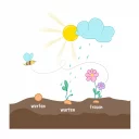 Seedbombs_a1_web