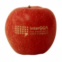 Logo-Apfel_1_web.jpg