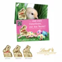 94563_Promotioncard_mit_Goldhase_1000px
