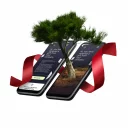 treebytree_phone_tree_mockup-update_double-phone_web