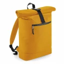 BG286_Mustard