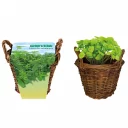 1060_Basket