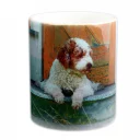 Hund_schwarz_1000px