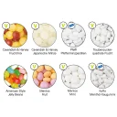 metalldosen_alle_ohne_honigbienen_fuellvarianten