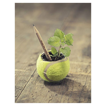 Sprout-Image-6-RGB-780x1024_web