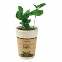 Ecocup_cup01_Feel-Green_web_3.jpg