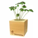 Ecocube_cube_cube01_Feel-Green_web_2.jpg