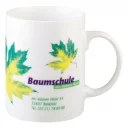 KC2_baumschule.jpg