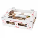 Geschenkbox_Pilatus.jpg