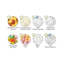 metalldosen_alle_ohne_honigbienen_fuellvarianten_web