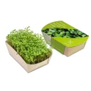 Microgreens_Kresse_WEB