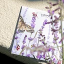 144322_4_web
