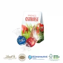 91442_Lindt_Lindor_Pralines_2er_Praesentverpackung_Selection_Mini_O_web