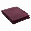 Edelvelours-hagebutte-590