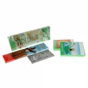 Farbstifte-6er-Set-kurz-2