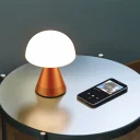 Mina-L-Audio-LH76O1-Orange-02_web_new