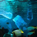 PROPUESTA-CATALOGO-CLEANING-THE-OCEAN-V7-LQ-compre-58611