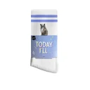 cat_banderole_web