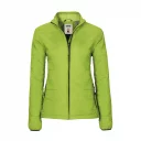 m_item_p_0251_040_01