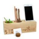 orgrownizer_aloe-vera_pflanze_web