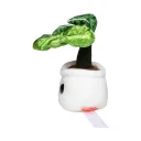 schmoozies--evergreenies--monstera-multicolour-m160846_artfarbe_7882_detail_10860_XL_web