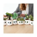 schmoozies--evergreenies--monstera-multicolour-m160846_artfarbe_7882_detail_12007_XL_web