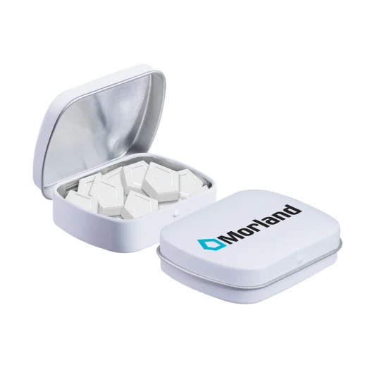 Mini Klappdeckeldose Pfefferminz zuckerfrei 23 g
